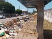 Na Ponta Grossa, Prefeitura retira 85 toneladas de