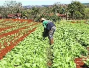 Agricultura corre para regularizar terras rurais