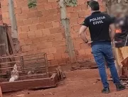 Polícia Civil faz operação contra rinha de galo em