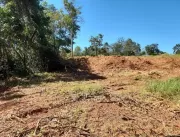 Pirenópolis: fiscais flagram desmatamento e constr