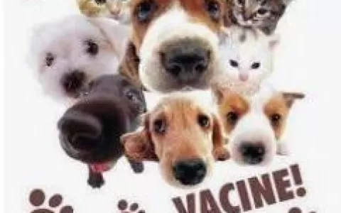Campanha antirrábica abre vacinação para cães e ga