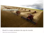 Brasil retoma posto de maior produtor de soja do p