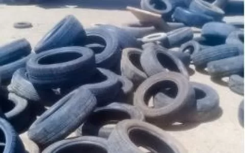 Em 4 dias, 810 pneus são recolhidos das ruas de Sa