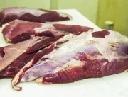 Vigilância sanitária apreende 300 kg de carne estragada em Maceió