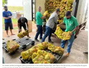 Mais de 12 mil cestas verdes são entregues ao Banc