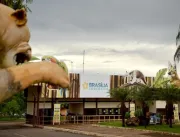 Onça foge do recinto no Zoológico de Brasília