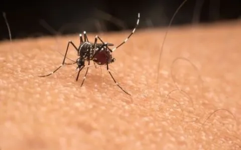 Hospital de Santa Maria passa a ter pronto-atendimento só para dengue