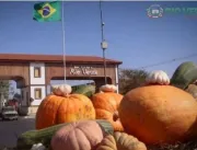 Casal pega abóboras gigantes da prefeitura de Rio 