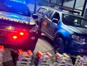 Polícia apreende uma tonelada de maconha escondida na carroceria de caminhão, em Acreúna (GO)