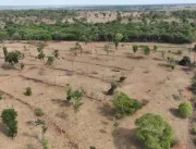Semad, Ibama e PM flagram 100 hectares de desmatam