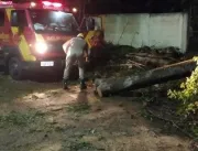 Prefeitura amplia esforço para limpar Pirenópolis depois do temporal
