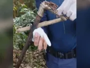 Homem é baleado por armadilha ao tentar pegar manga no Jardim Conquista, em Goiânia
