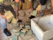 Polícia apreende 120 quilos de maconha em chácara de Goiânia