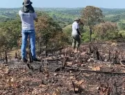 Fiscais flagram desmatamento em Corumbaíba e uso i