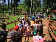 Parque Mutirama e Zoológico de Goiânia oferecem opções de lazer nas férias escolares