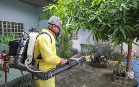 O trabalho porta a porta dos agentes de combate à dengue