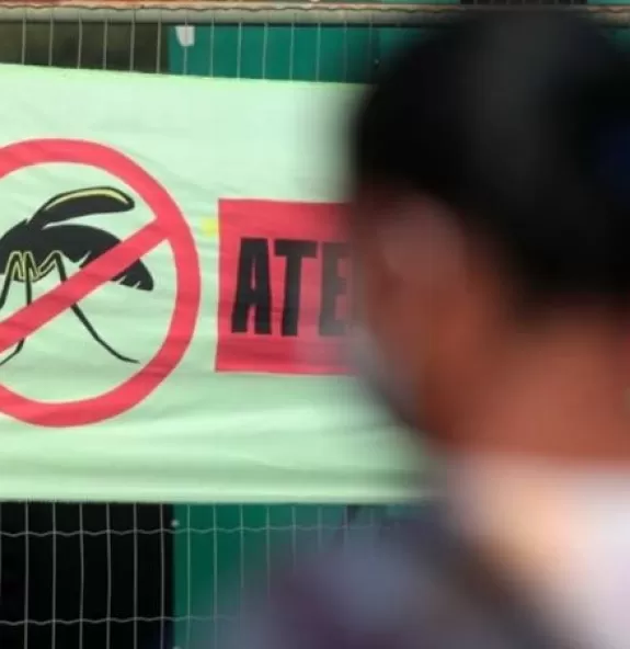 Brasil ultrapassa mil mortes por dengue e se aprox
