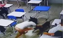 Vídeo mostra ataque de cachorro a adolescente em e