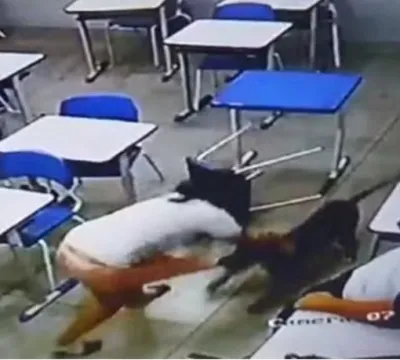 Vídeo mostra ataque de cachorro a adolescente em e