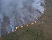 Incêndio florestal atinge há três dias área do Par