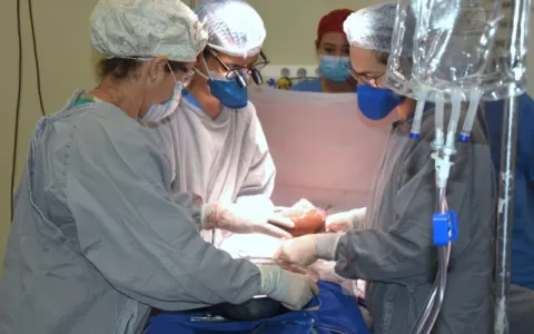 Estado do Tocantins renova parceria com Hospital D