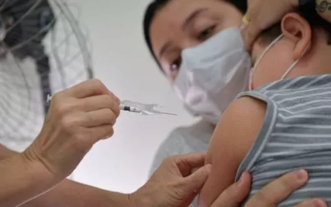 Tocantins se prepara para iniciar a vacinação cont