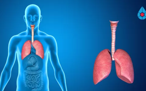 Câncer de pulmão é o mais letal no Brasil