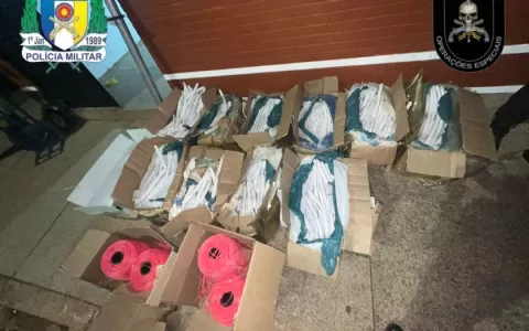 Em Palmas polícia apreende quase 1 tonelada de exp