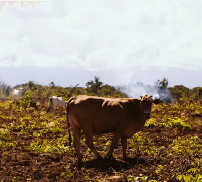 Desmatamento no Matopiba põe em risco o abastecime