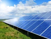 Gestão ambiental: setor de energia renovável gera 