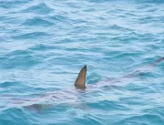 Criança atacada por tubarão em Fernando de Noronha