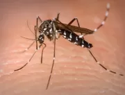 Agentes de endemias eliminam focos do Aedes aegypt