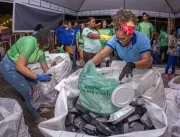 Reciclagem: campanha Coleta Seletiva é Massa gera 