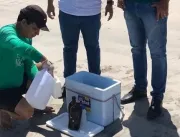IMA faz coleta nas praias atingidas por óleo para identificar riscos do material à saúde