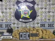 Polícia Civil prende dois suspeitos e apreende 60 kg de maconha em Maceió
