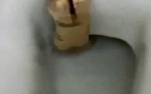 VÍDEO: Homem vai ao banheiro e se depara com cobra