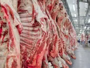 Exportação de carne bovina do brasil caiu 3,2% no 