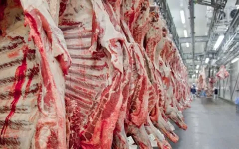 Exportação de carne bovina do brasil caiu 3,2% no primeiro semestre