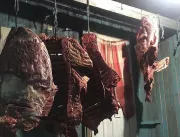Bifes de carne de cavalo misturada com a de gado eram vendidos para hamburguerias do RS