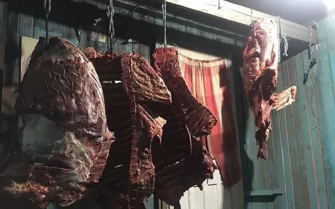 Bifes de carne de cavalo misturada com a de gado e