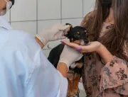 Unidade de Vigilância de Zoonoses dedica cuidados a animais resgatados