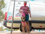 Gabinete da Causa Animal fará atendimento com Castramóvel na terça-feira (15), em Ipioca