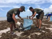 Mutirão retira lixo trazido pelo mar para praias d