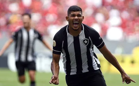 Botafogo vence, sobe na tabela e deixa clima no Fl