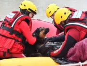 Cão esquenta dono resgatado com hipotermia em enchente em Santa Catarina