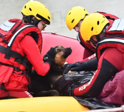 Cão esquenta dono resgatado com hipotermia em enchente em Santa Catarina