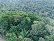 Mata da Sálvia: Segunda maior Reserva Particular do Patrimônio Natural é criada em Alagoas