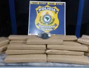 Polícia apreende 52 kg de maconha