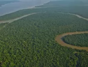 Reserva no Amazonas é considerada modelo no país e