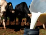 Manifesto pede apoio à produção leiteira